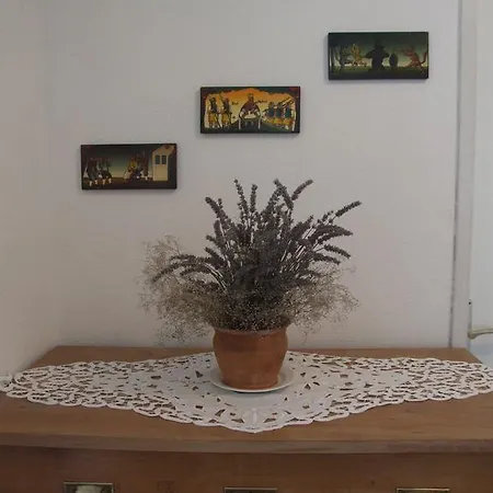 Mlinarjeva Domacija Apartamento *