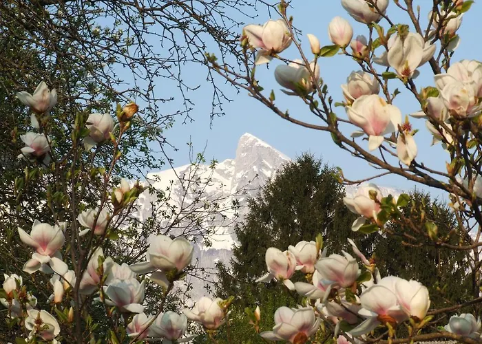 דירה Mlinarjeva Domacija קובאריד