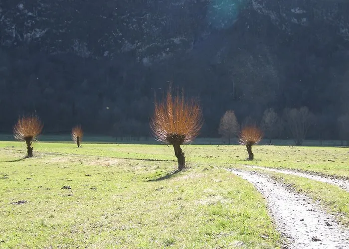 Mlinarjeva Domacija קובאריד