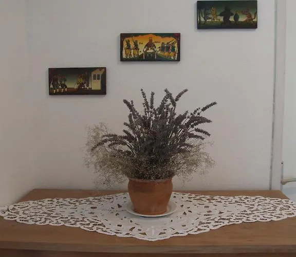 Mlinarjeva Domacija דירה *