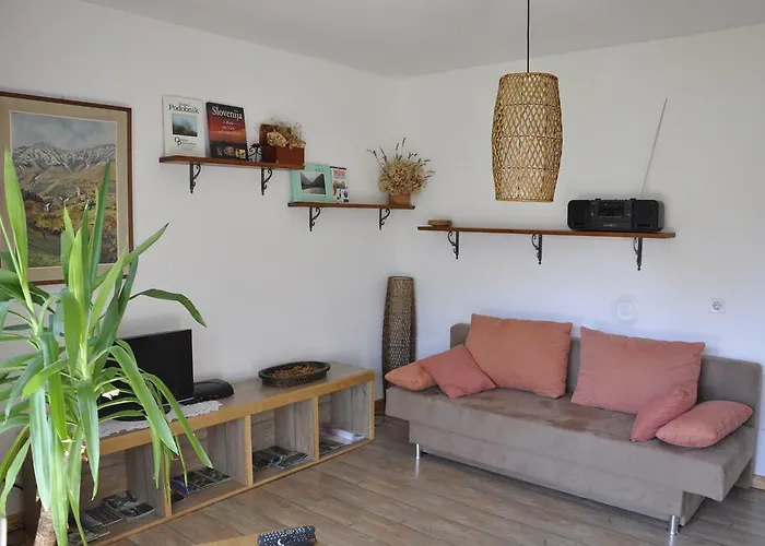 Mlinarjeva Domacija *